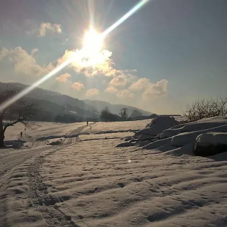 Angelika Apartamento Bildstein