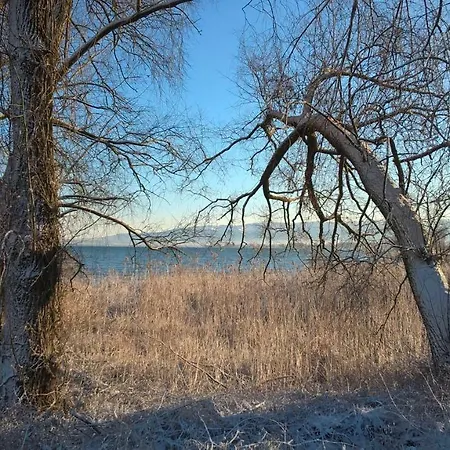 Apartamento Angelika